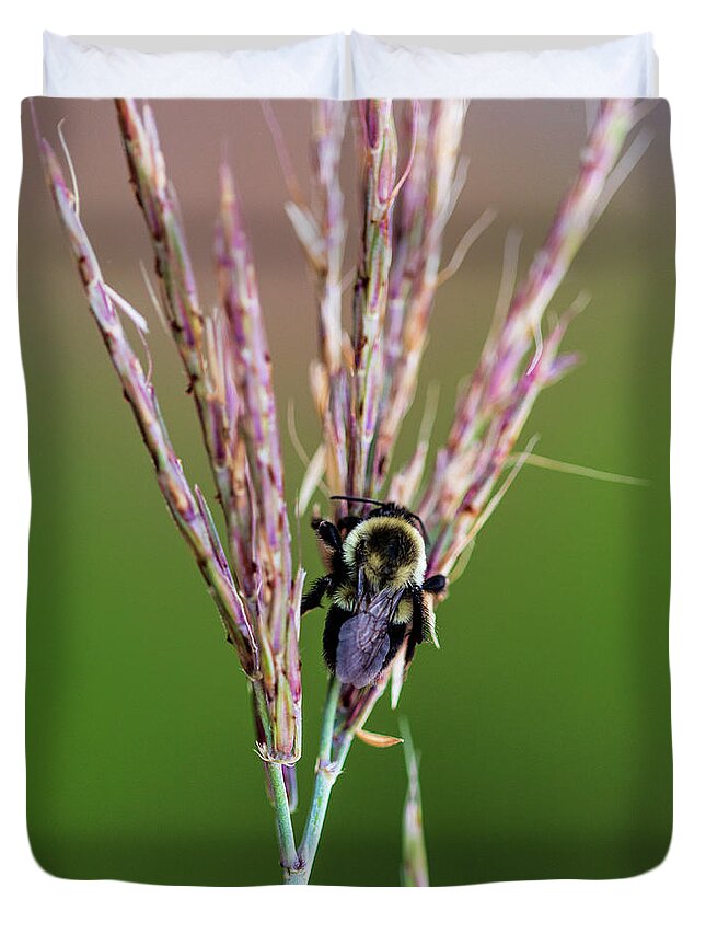 Animals Duvet Cover featuring the photograph Nature Photography - Bee by Amelia Pearn