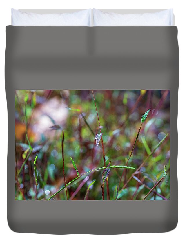 Fall Duvet Cover featuring the photograph Nature Photography - Fall Grass by Amelia Pearn