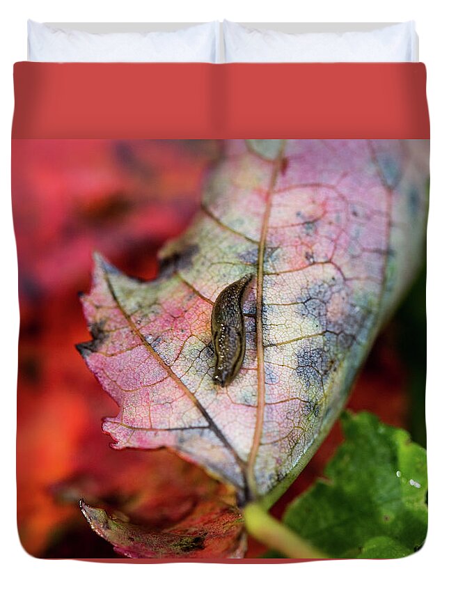 Insect Duvet Cover featuring the photograph Nature Photography - Slug on a Leaf by Amelia Pearn
