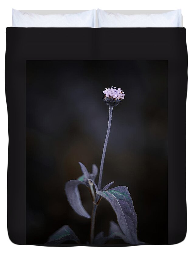 Flowers Duvet Cover featuring the photograph Nature Pic 3 by Gian Smith
