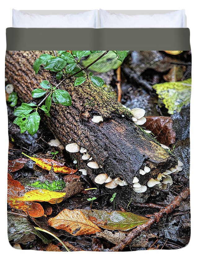 Mushrooms Duvet Cover featuring the photograph Natures Canvas II by Scott Olsen