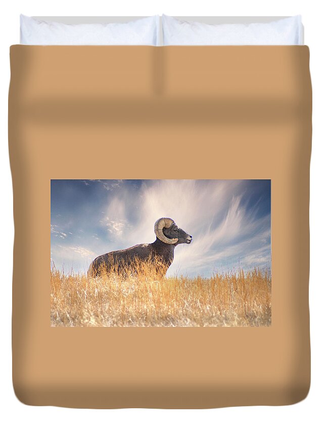 Bighorn Sheep Duvet Cover featuring the photograph Nature's Ram by Jerry Cahill