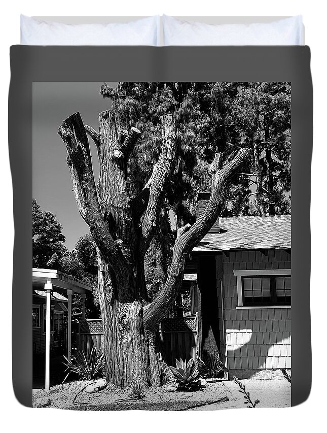 Tree Duvet Cover featuring the photograph Nature's Sculpture by Calvin Boyer
