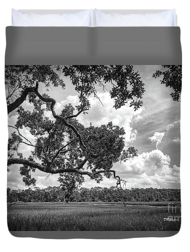 Nature Duvet Cover featuring the photograph Natures Serenity In Black and White by DB Hayes