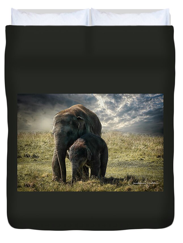 Elephant Duvet Cover featuring the photograph Never Forget by Chris Boulton