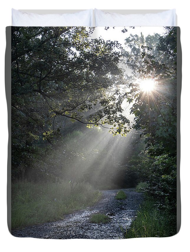 Trees Duvet Cover featuring the photograph New Beginnings by Elaine Malott