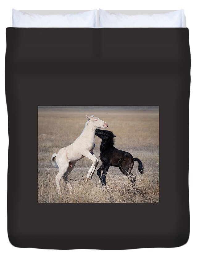 Wild Horses Duvet Cover featuring the photograph New brothers by Mary Hone