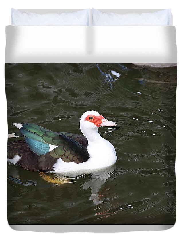 New Duck Visitor At Tempe Town Lake Duvet Cover featuring the digital art New Duck Visitor At Tempe Town Lake by Tom Janca