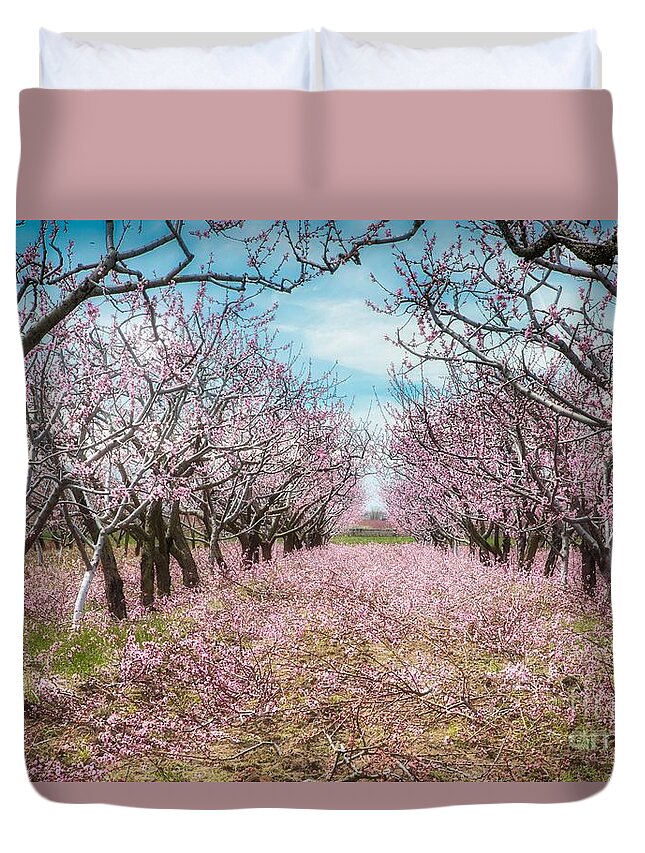 Blossoms Duvet Cover featuring the photograph Niagara's Blossom Trail - Enclosed by Marilyn Cornwell