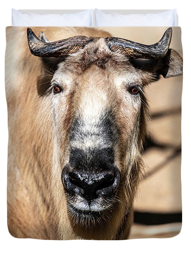 Cattle Chamois Duvet Cover featuring the photograph Nice to Meet Gnu by David Levin