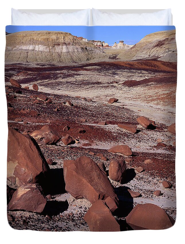 New Mexico Duvet Cover featuring the photograph North Bisti Layers by Tom Daniel