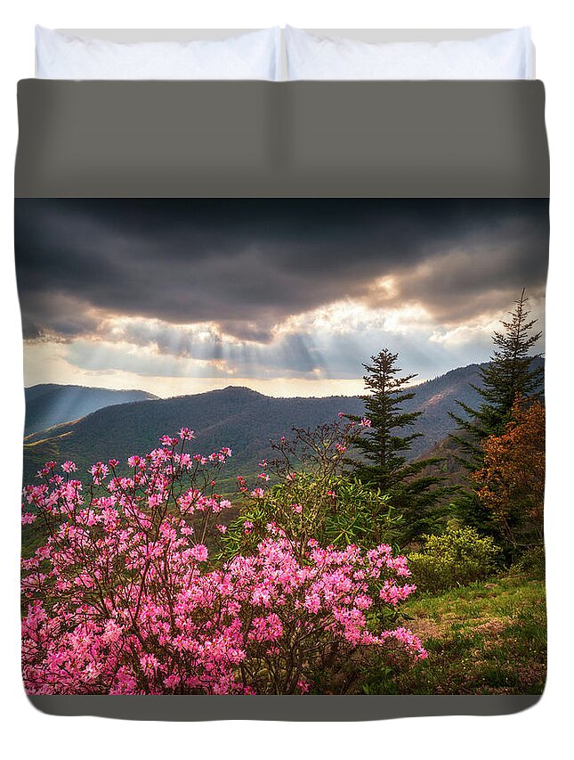 North Carolina Duvet Cover featuring the photograph North Carolina Blue Ridge Parkway Spring Flowers Scenic Landscape Asheville NC by Dave Allen