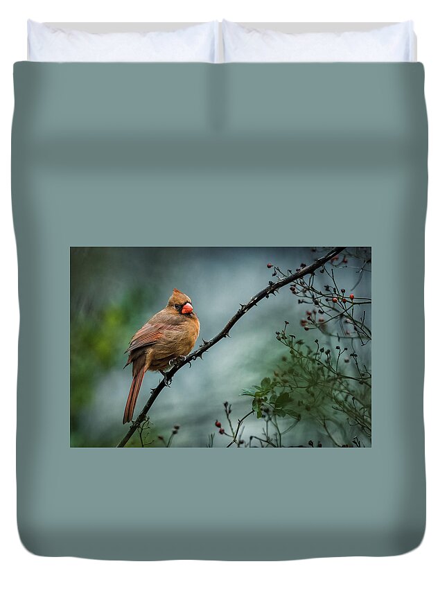 Northern Cardinal Duvet Cover featuring the photograph Northern Cardinal. by Alexander Image