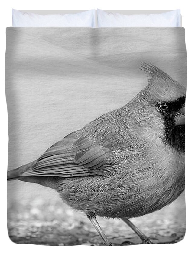Cardinal Duvet Cover featuring the photograph Northern Cardinal BW by Susan Candelario