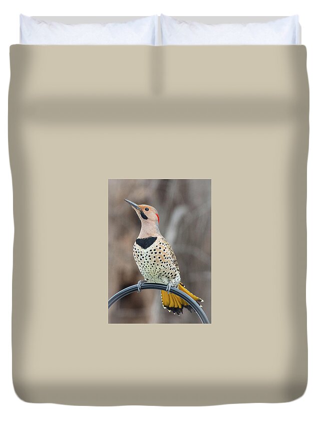 2019 Duvet Cover featuring the photograph Northern Flicker 3 by Gerri Bigler
