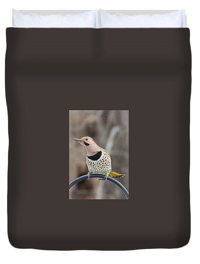 2019 Duvet Cover featuring the photograph Northern Flicker 5 by Gerri Bigler