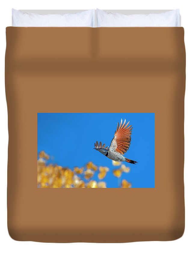 Flying Duvet Cover featuring the photograph Northern Flicker by Rick Mosher