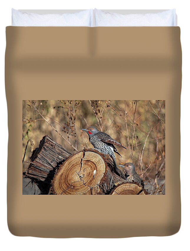 Northern Flicker Woodpecker Duvet Cover featuring the photograph Northern Flickers by Rick Mosher