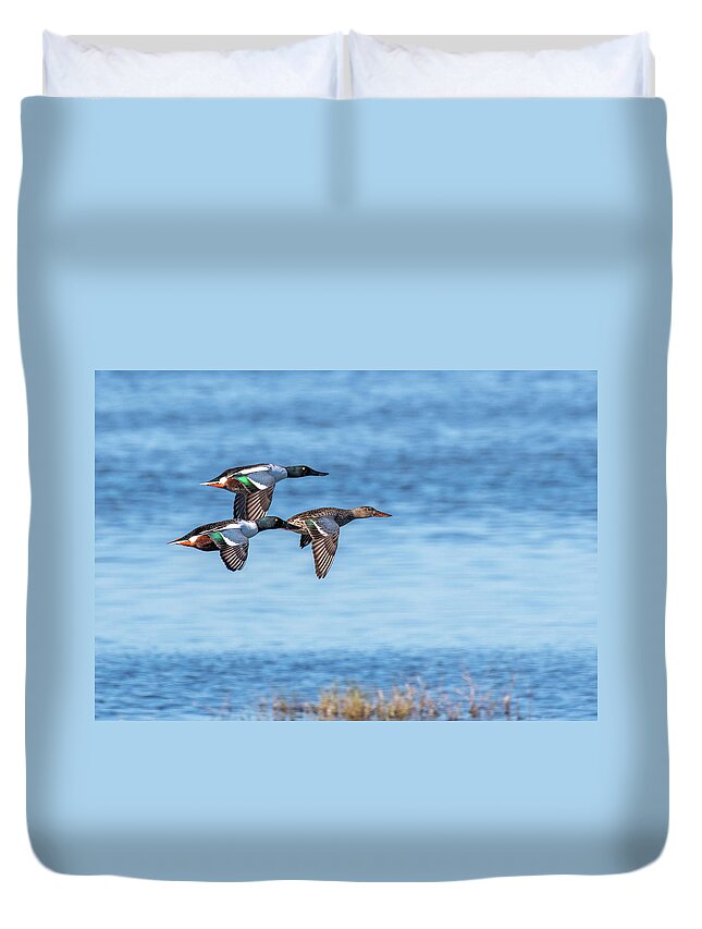 Northern Shovelers Duvet Cover featuring the photograph Northern Shovelers by Jerry Cahill