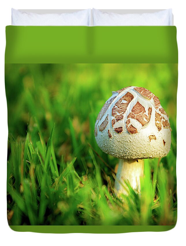 Mushroom Duvet Cover featuring the photograph Not A Full Bloom Mushroom by James Eddy