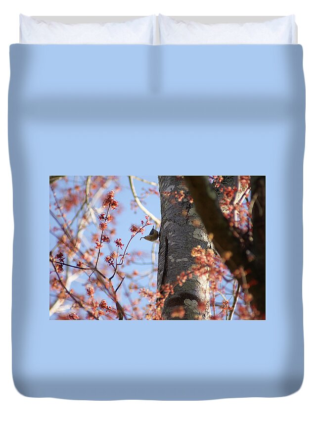  Duvet Cover featuring the photograph Nuthatch Treat by Heather E Harman