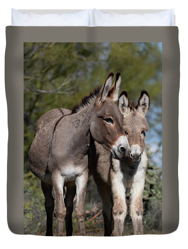 Wild Burros Duvet Cover featuring the photograph Nuzzles by Mary Hone