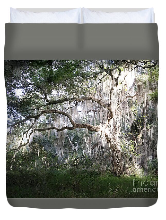 Oak Tree And Spanish Moss Duvet Cover featuring the photograph Oak Tree And Spanish Moss, Circle B Bar Reserve, Lakeland, Florida by Felix Lai
