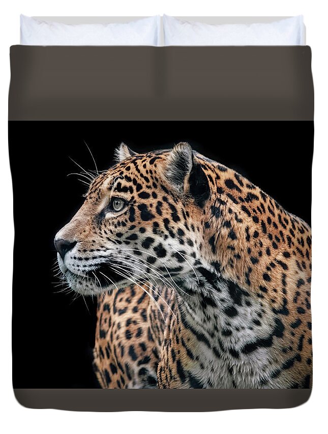 Cats Duvet Cover featuring the photograph Observant Jaguar by Elaine Malott