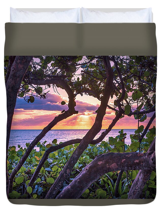 Beach Duvet Cover featuring the photograph Ocean View Through Seagrape Trees by Laura Fasulo