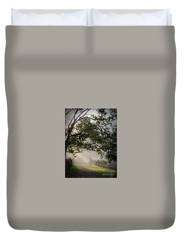 Sunlight Duvet Cover featuring the photograph Ochee in the morning light by Rabiah Seminole