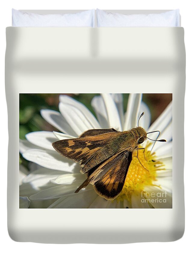 Skipper Duvet Cover featuring the photograph Ocola Skipper by Catherine Wilson