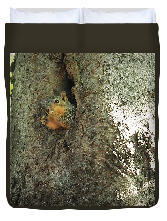 Squirrel Duvet Cover featuring the photograph Oh my Who Are You by C Winslow Shafer