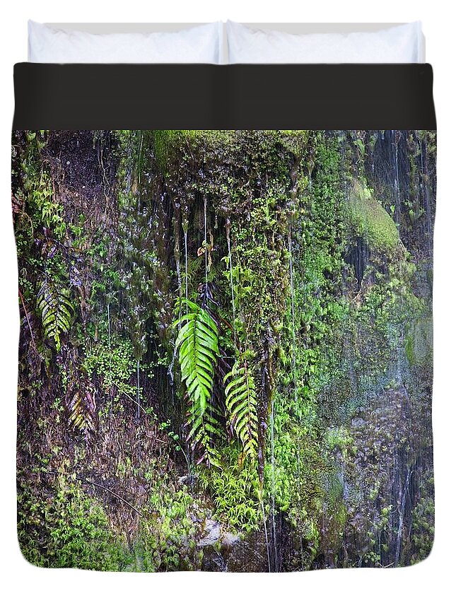 Nz Duvet Cover featuring the photograph Okarito Beach, New Zealand, Waterfall 5 by Steven Ralser