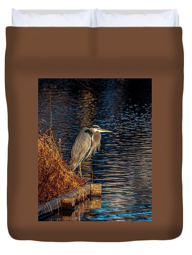 Bird Duvet Cover featuring the photograph Old Blue by Cathy Kovarik