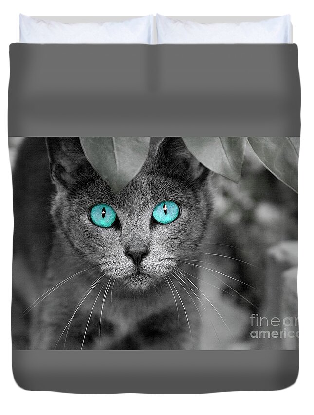 Cats Duvet Cover featuring the photograph Old Blue Eyes by Renee Spade Photography