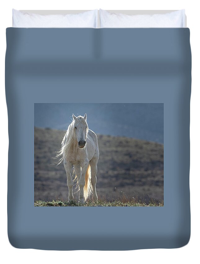 Wild Horses Duvet Cover featuring the photograph Old Man in the Morning by Mary Hone