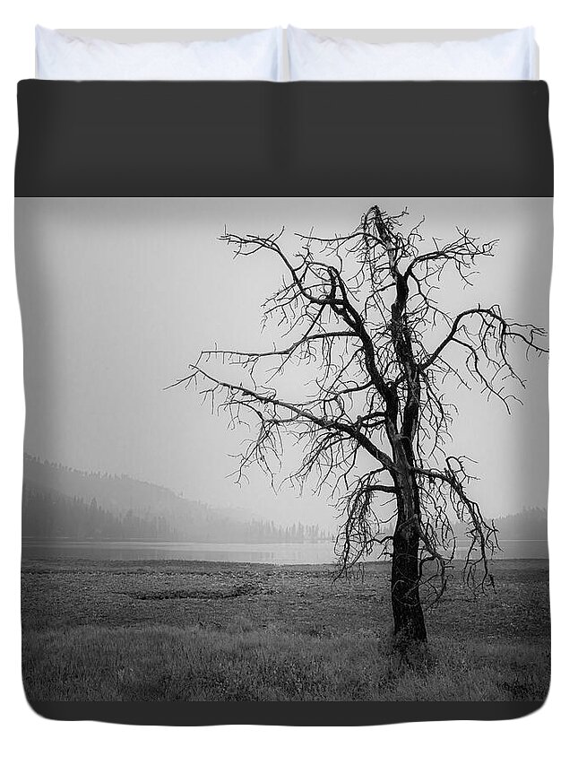 Abstract Duvet Cover featuring the photograph Ominous by Mike Lee