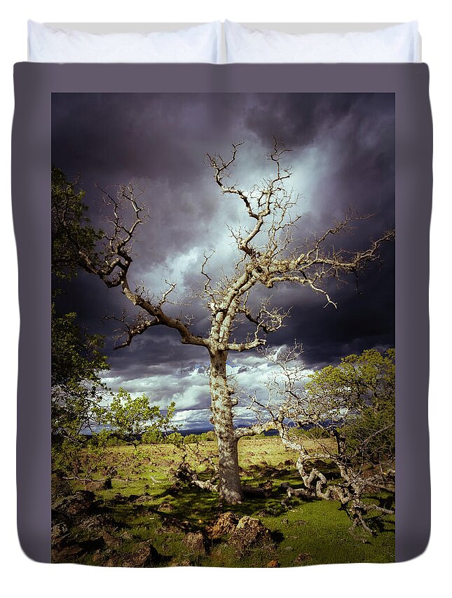 Nature Duvet Cover featuring the photograph Ominous Oak by Mike Lee
