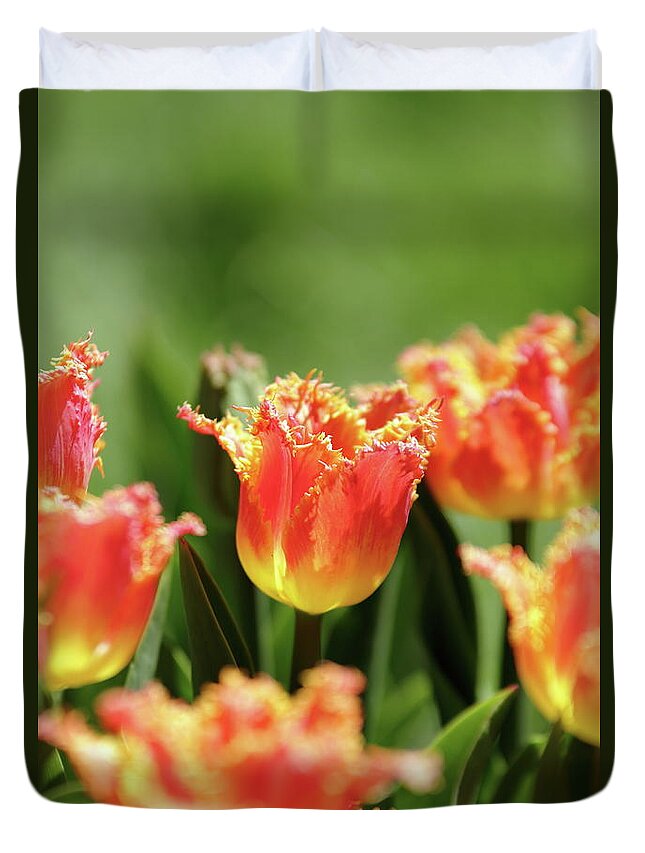Nature Duvet Cover featuring the photograph On Fire by Lens Art Photography By Larry Trager