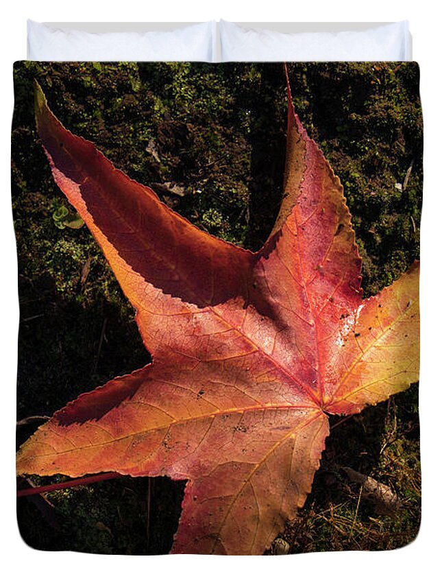 Leaf Duvet Cover featuring the photograph On Its Own by Elaine Teague