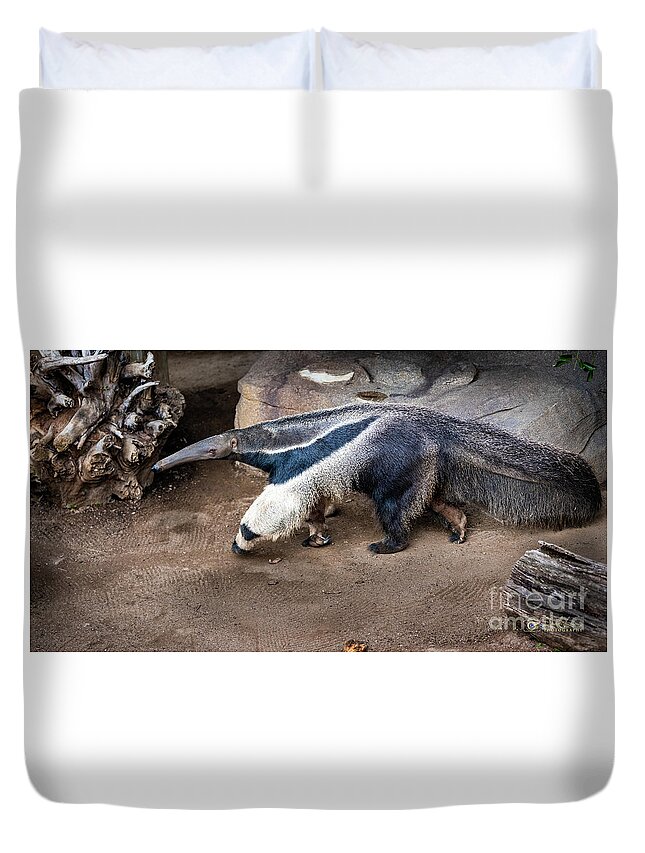 Brown Duvet Cover featuring the photograph On the Hunt by David Levin
