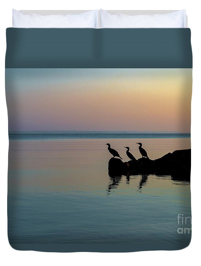 Birds Duvet Cover featuring the photograph On the lookout by Daniel M Walsh