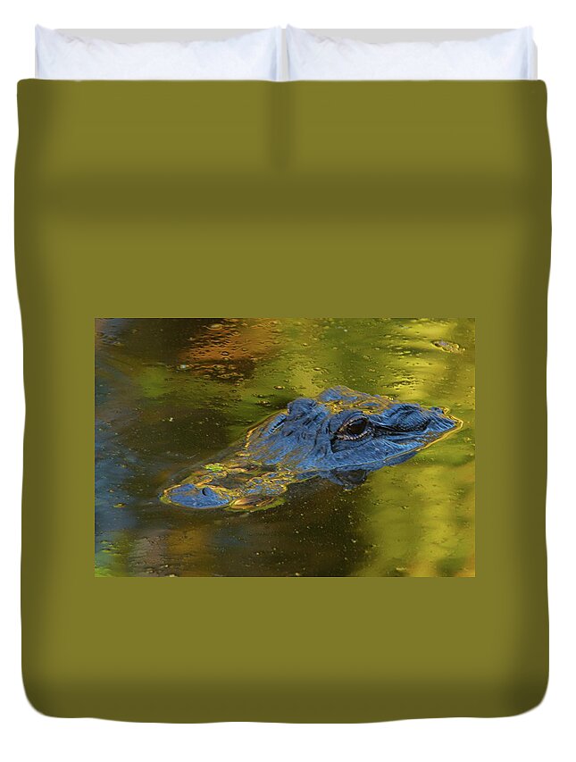 American Alligator Duvet Cover featuring the photograph On The Surface by Melissa Southern