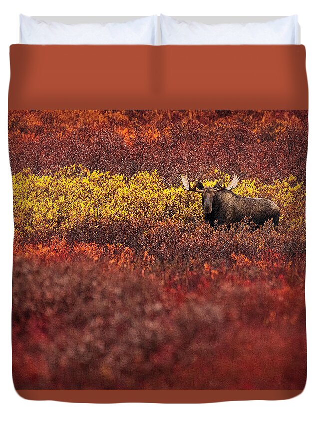 Alaska Duvet Cover featuring the photograph On the Tundra by Chad Dutson