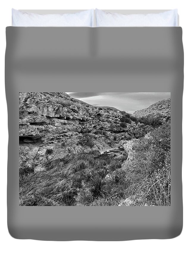 Richard E Porter Duvet Cover featuring the photograph On Top of the Falls-Sitting Bull Falls, New Mexico-Guadalupe Mountains, Lincoln National Forest by Richard Porter