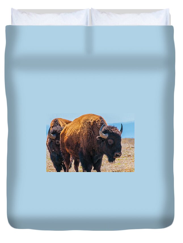 Agriculture Duvet Cover featuring the photograph Bison in Field in the Daytime by Tom Potter