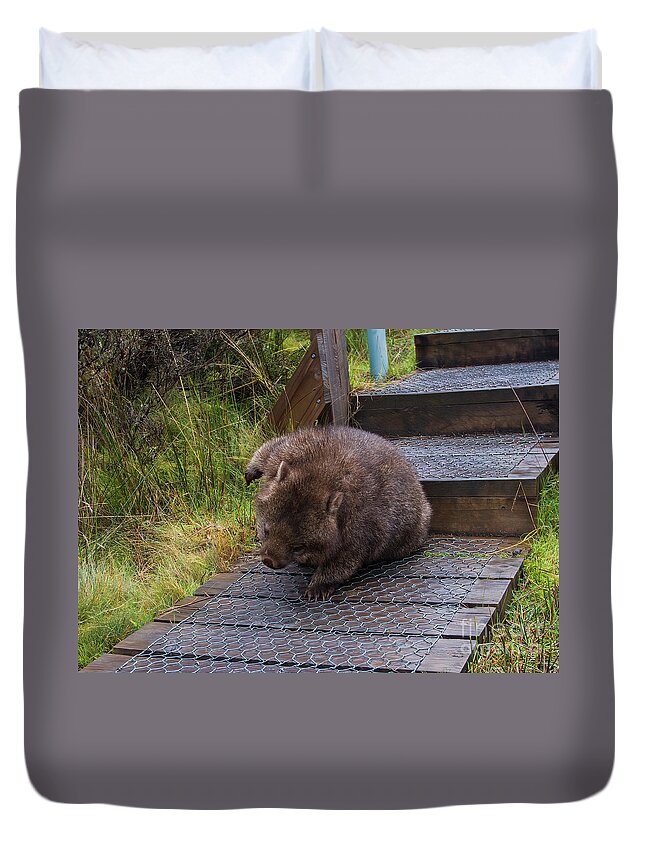 Wildlife Duvet Cover featuring the photograph One Step, Two Step by Elaine Teague