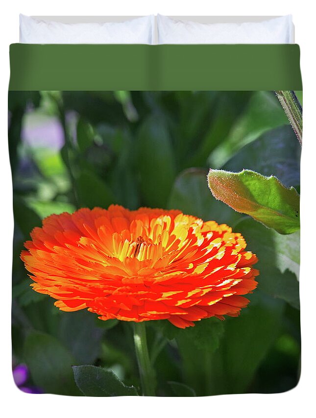 Beautiful Duvet Cover featuring the photograph Orange Blossom by David Desautel