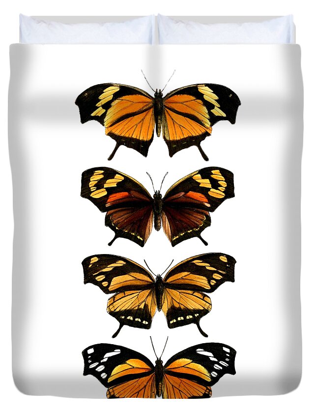 Monarch Butterfly Duvet Cover featuring the digital art Orange Butterfly Chart by Madame Memento