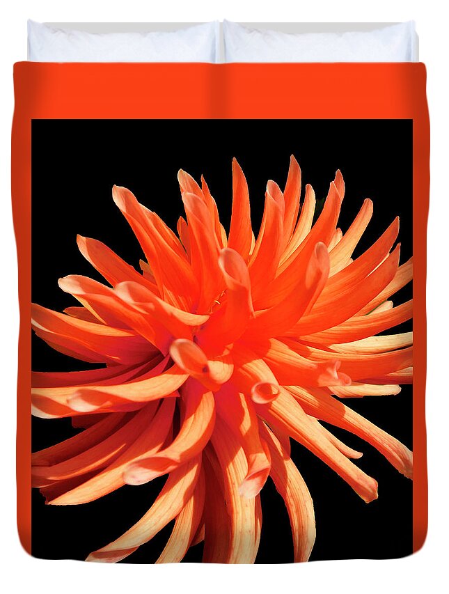 Flowers Duvet Cover featuring the photograph Orange Dahlia by Emmy Marie Vickers